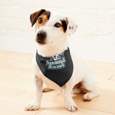 a dog sitting on the floor wearing a bandana