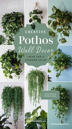 the cover of creative pothoso wall decor ideas for a turning decor