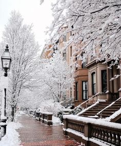 snow covered trees line the sidewalk in front of brownstone buildings and street lamps on a snowy day