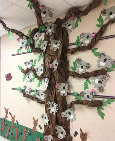 a bulletin board with koalas, kangaroos and trees on the wall in a classroom