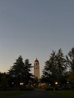 a tall clock tower towering over a lush green park filled with lots of trees at night