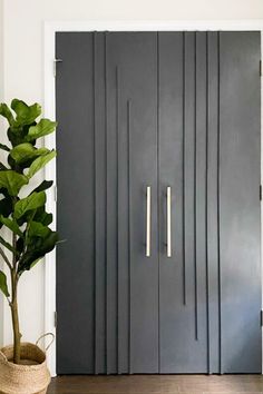 a door with two handles on it and a potted plant in front of it