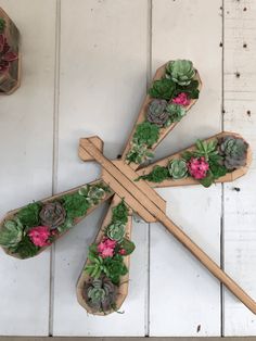 succulents are arranged on wooden sticks and placed in the shape of crosses