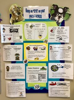 a bulletin board with pictures and information about animals