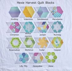 the hexie harvest quilt blocks are all different sizes and patterns, but each has their own name on it