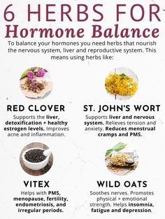 Hormone Balancing Supplements, Female Hormone, Balance Your Hormones, Medical Herbs, Balance Hormones Naturally, Hormone Balance