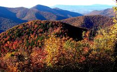 the mountains are covered in autumn foliage and trees with orange, yellow, and green leaves