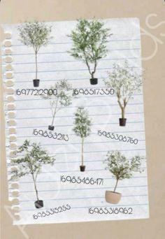 several different types of trees on lined paper with numbers in the bottom right hand corner