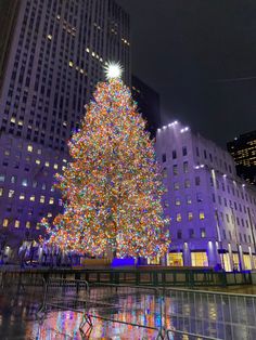 a large christmas tree is lit up in the city