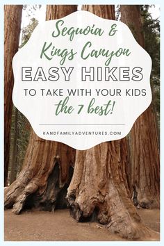 two large trees with text overlay saying sequia & kings canyon easy hikes to take with your kids the 7 best