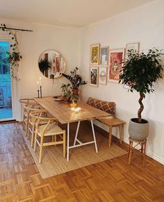 a dining room table with chairs and a potted plant next to it on top of a hard wood floor