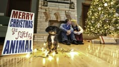 a man and woman sitting next to a christmas tree with a dog on the floor