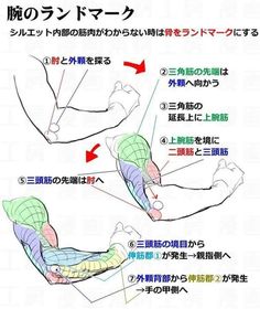 the muscles are labeled in english and japanese text, with an image of two hands holding each other