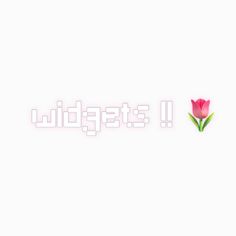 a pink flower sitting on top of a white wall next to the word stupidly