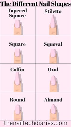 List and detailed description of the most popular and trendy nail shapes that you can get done today look and see what you like and go and show your nail tech. Trendy Nail Shapes, Nail Technician Room, Nail Shape Chart, Beginner Nail Designs, Nail Tech School, Nail Room Ideas, Shape Chart, Business Nails, Acrylic Nails At Home