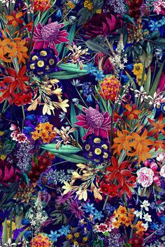 an image of colorful flowers and plants on a blue background