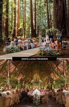 wedding reception in the redwood forest at santa lucia preserve