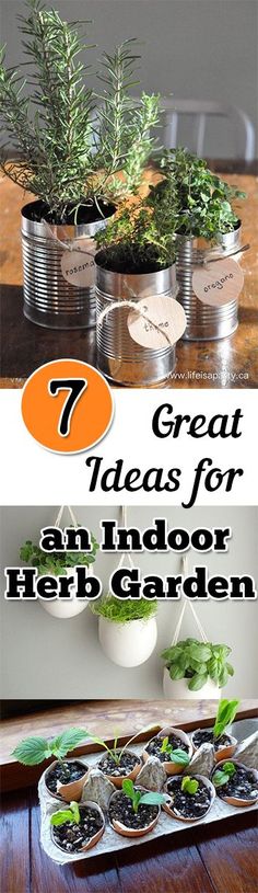 the seven great ideas for an indoor herb garden