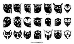 an image of different types of owls