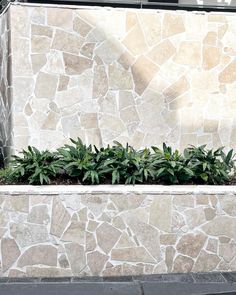 there is a planter with green plants in it on the side of a building