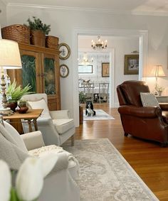 the living room is clean and ready for guests to come home with their dog in it