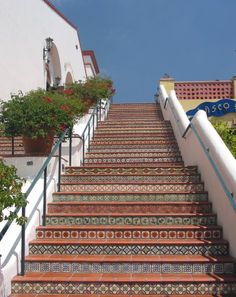 the stairs are decorated with colorful tiles and potted plants