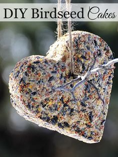 a heart shaped bird feeder hanging from a tree