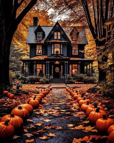 a house with lots of pumpkins in front of it