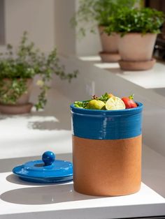 a blue and brown container sitting on top of a table next to potted plants