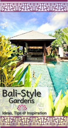 the bali style gardens ideas, tips and inspiration book cover is shown in front of a pool