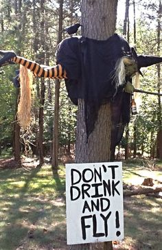 a sign on a tree that says don't drink and fly