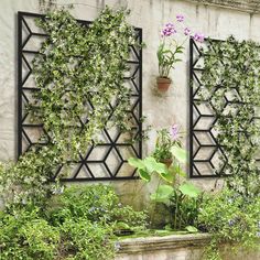 an outdoor garden with plants and flowers on the wall