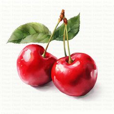 two cherries with green leaves on top of each one, sitting next to each other