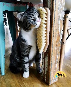 a grey and white cat holding onto a brush