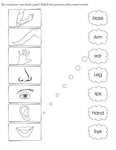 worksheet for kids with pictures and words