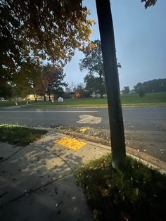 an empty street next to a tree on the side of the road with no cars