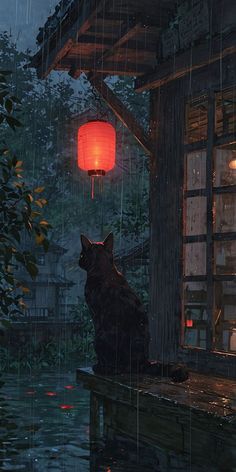 a black cat sitting on top of a wooden bench under a red lantern in the rain