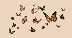 a group of butterflies flying through the air