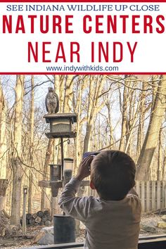 a young boy looking out the window at an owl on a bird feeder with text overlay that reads see indiana wildlife up close nature centers near indy