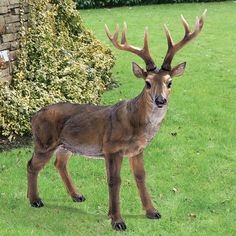 a deer standing on top of a lush green field next to a brick wall and shrubbery