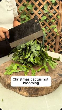 a person holding a large knife on top of a cutting board covered in green leaves