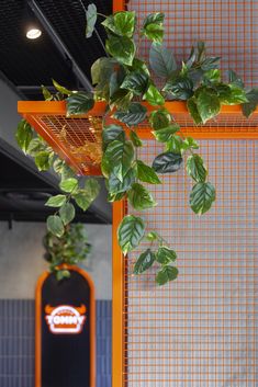 green plants growing on the side of an orange wall in a restaurant with blue tiled walls