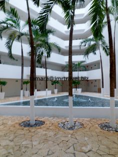 the beach is lined with lounge chairs and palm trees