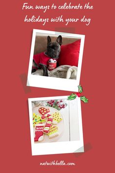 a dog wearing a sweater and sitting next to a plate of cookies with decorations on it