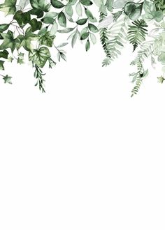 watercolor painting of green leaves and branches on white background with space for text or image