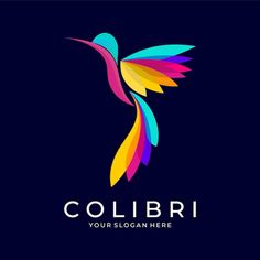 colorful hummingbird logo design on dark background