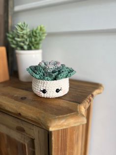 a potted plant sitting on top of a wooden table