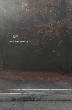 an image of a foggy street with trees in the background and text that reads, stop cold but pretty