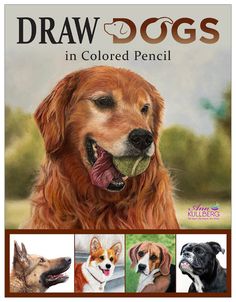 the cover of draw dogs in colored pencil