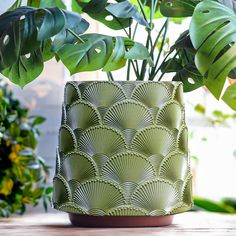 a potted plant sitting on top of a wooden table